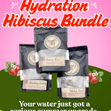 Hibiscus Hydration Bundle | Cold Brew Loose Leaf Tea | 3 Flavors - Blooming With Joy Tea Co.